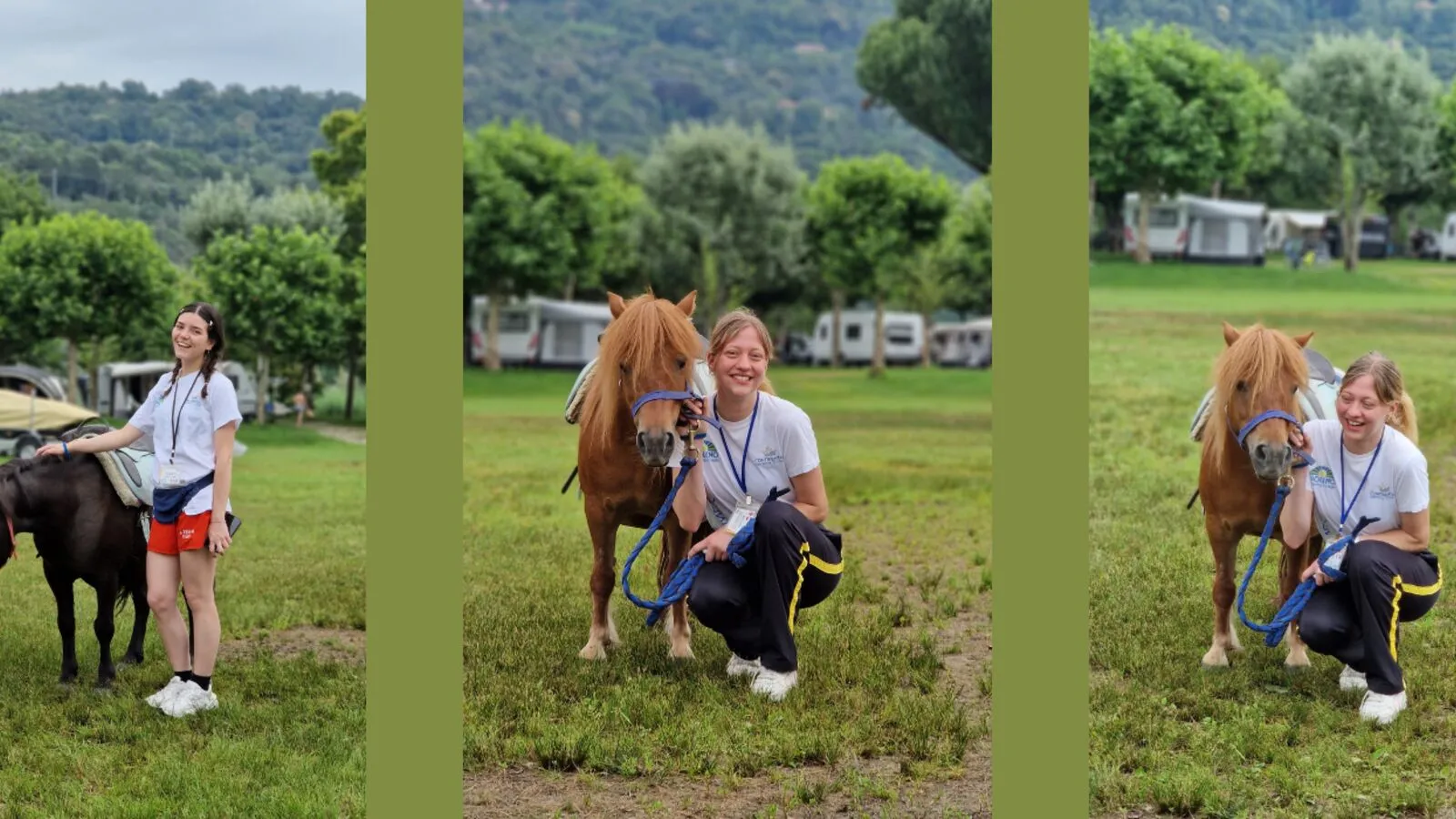 PONY