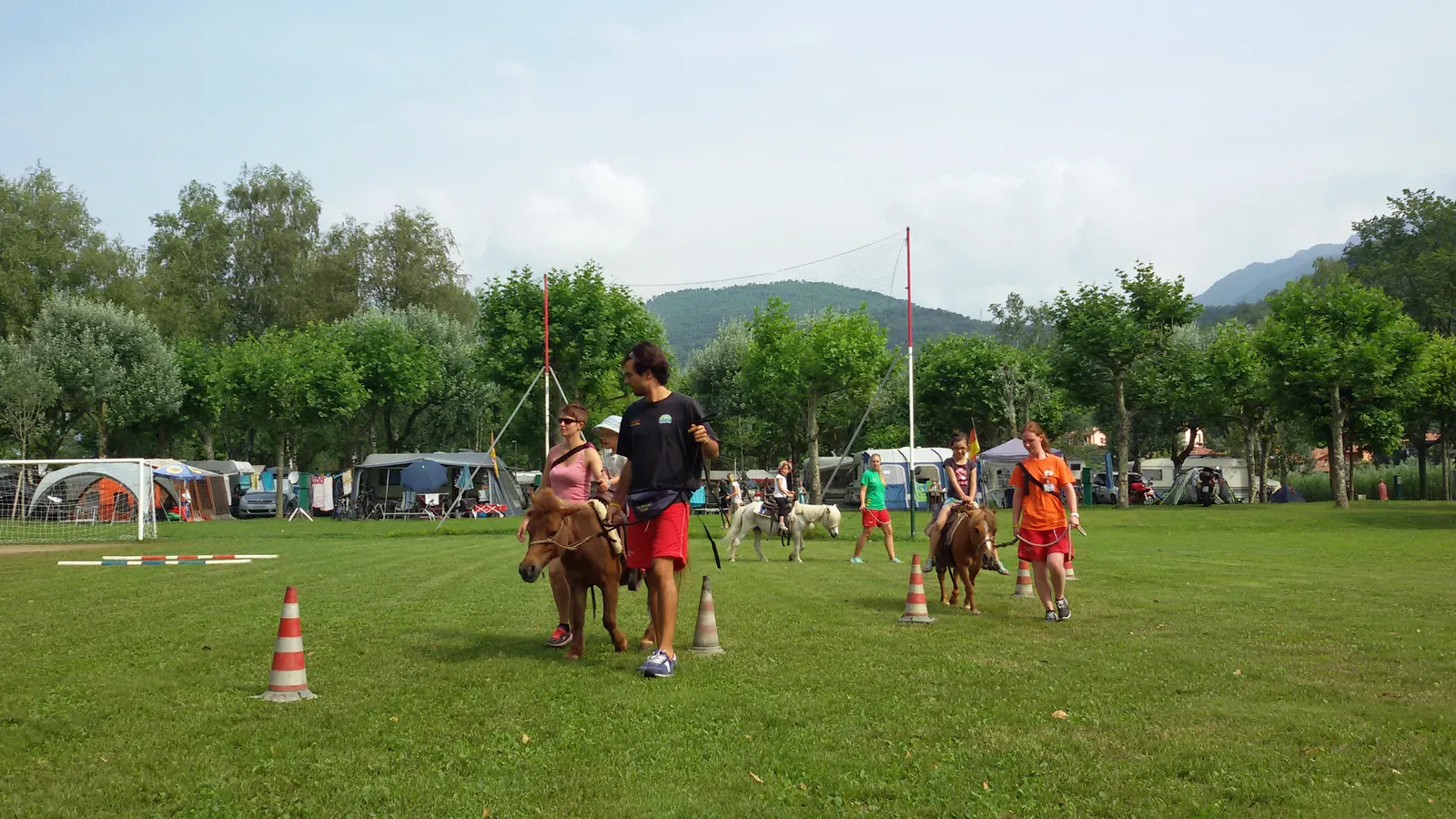PONY