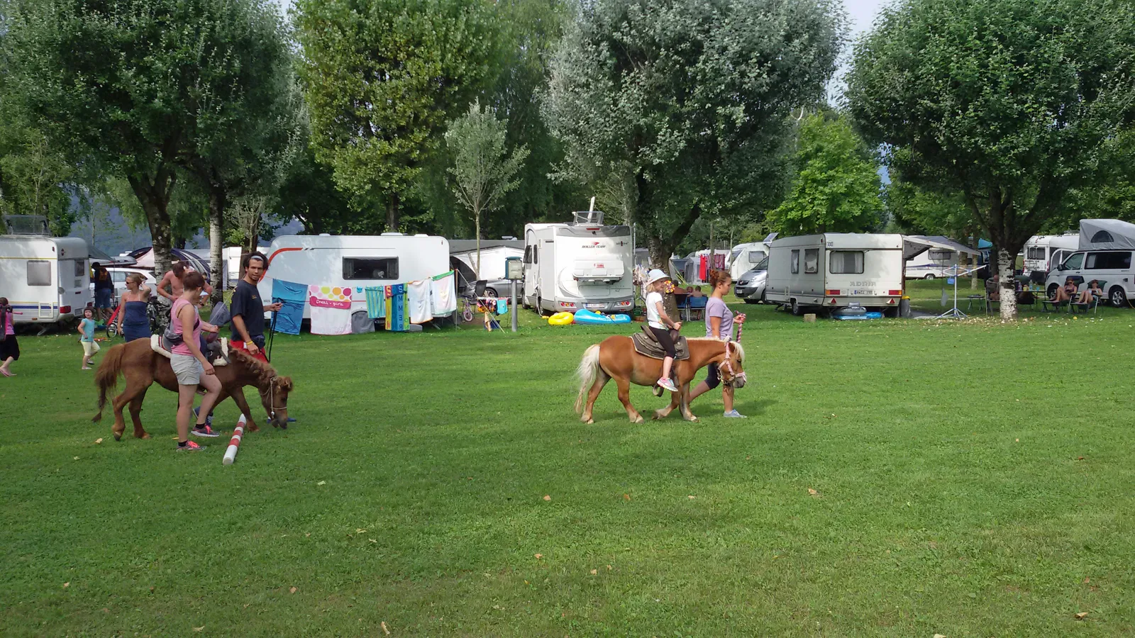 PONY